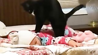 Funny cat