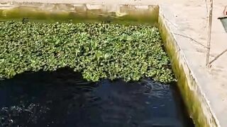 Perbedaan sistem BIOFLOK, sistem RAS, sistem KOCOR, dan sistem KONVENSIONAL dari segi PERMODALAN