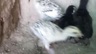 In this video