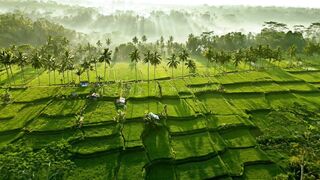 Pemandangan alam Indonesia 3