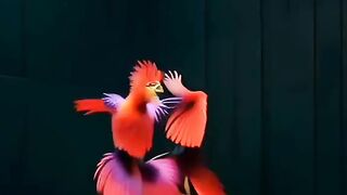 interesting amazing dance by pets