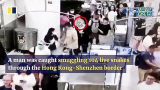 Man tries smuggling over 100 live snakes in his trousers.