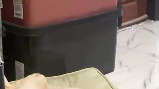 funny cat videos clean funny cat videos tiktok