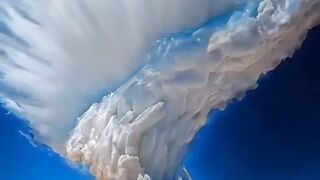 video 763