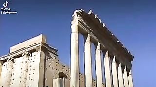 Palmyra 16