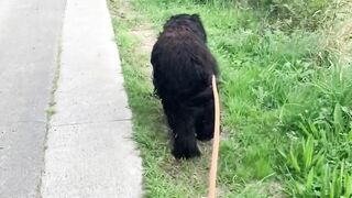 Walking in the nature 2