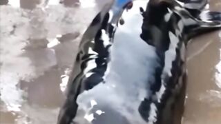 اللہ ھواکبر