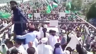 Tlp march