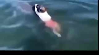 Funny video #Funny#  ???????? Funn