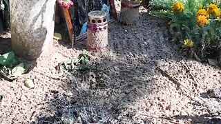 НАРОДНА ЛЮБОВ КЪМ ГЕРОЙ ОТ СВО