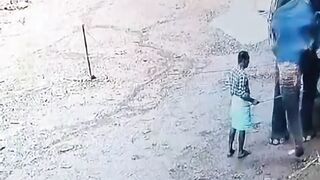 elephant kills its master