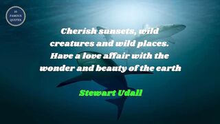 famous quotes about love | Part 458