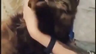 cat moving its hands