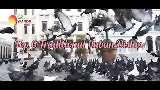 Top 6 Traditional Cuban Dishes  Best Cuban Food  CUBAN CUISINE  CUBAN DISH
