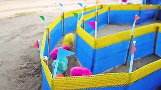 Cute hen baby /colurful hen baby/cute hen chiks 2