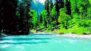 Kumrat Valley Our Mango Adventure Weekender! ???????? #kumratvalley #kpk #pakistan #mango #viralvideo