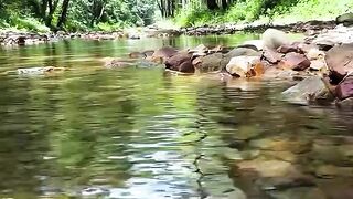 The clear river flows beautifully with the fish in it looking fresh