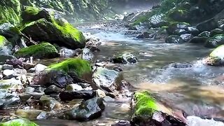 Enjoy the beauty of the clear flowing river water in the morning