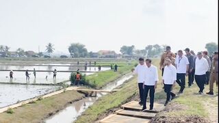 Indonesian President Joko Widodo's visit to rice farmers