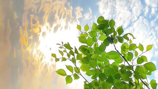 Beautiful Nature 14