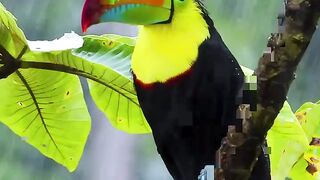 10 Weird Two Headed Animals