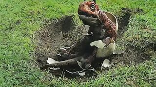 Carnotaurus Attitude status#Attitude#status.
