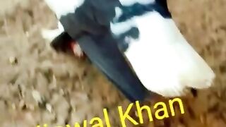 New   like kar den