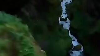 Forest Drone footage