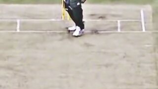 Cricket