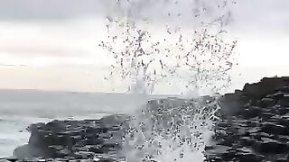 Sea_shower_????