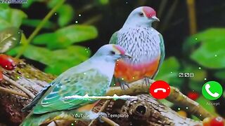 New_bansuri_ringtone.