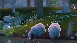 Never lose hope (story)