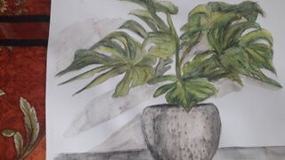 watercolor pencil techniques