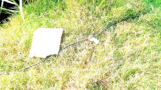 Solar panels towel 5 hp