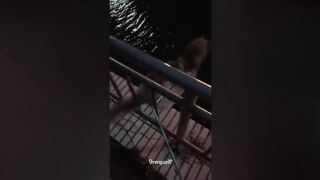 Funny Cats And Dogs 2023 Compilation _ Cute Animals Videos #21