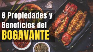 8 Propiedades y Beneficios del BOGAVANTE ✅