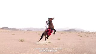 The best Arab horse rider (Saudi Arabia)