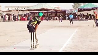 Top 10 wickets in cricket history.Taimor mirza Yorker. Speedy bowl