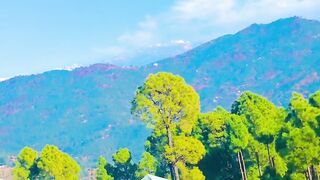 Today weather in murree