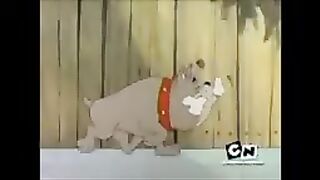 Tom and Jerry