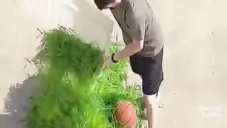 My neighbors were so confused watching us ????????.