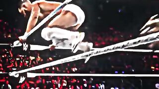 Amazing fight 8