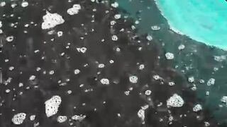 Cara ganti air kolam agar ikan tetap sehat