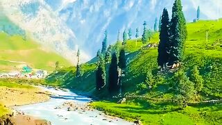 Kashmir Vibe Tour 2024: Scenic Views and Local Life Experience #kashmir #kashmirvalley #trending