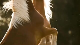 Wait till End 3