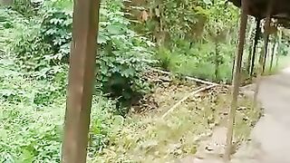 Usaha mencapai pulang
