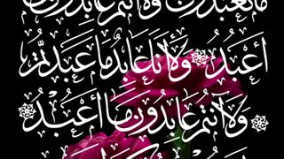 Surah al kafiroon with mishary rashid alafasy