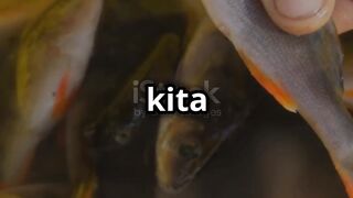 Serunya Mancing di Tempat Pemancingan Ikan!!