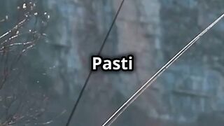Tips Mancing Ikan Bawal yang Efektif!