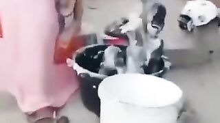 Comedy / Video lucu 6